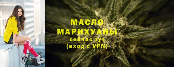 гидра Коряжма