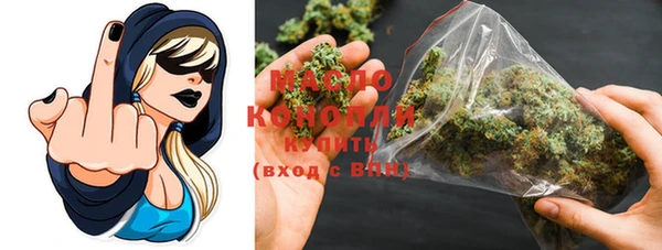 гидра Коряжма