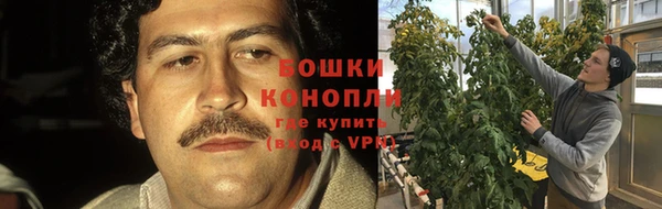 СК Корсаков