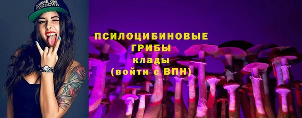 гидра Коряжма