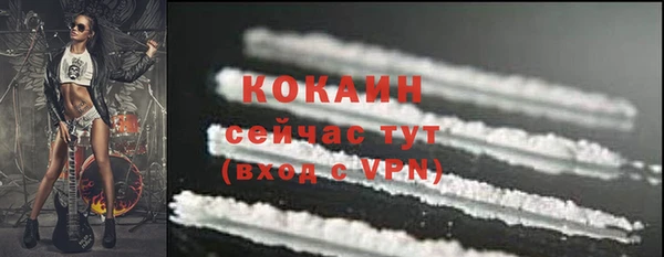 гидра Коряжма