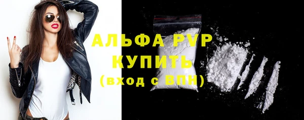 гидра Коряжма