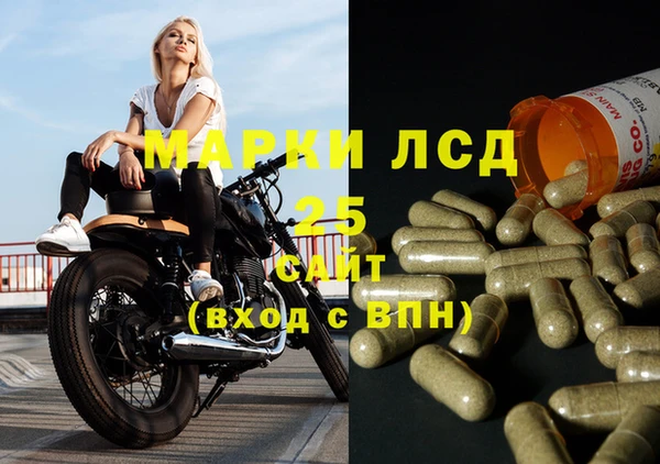 гидра Коряжма