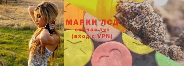 СК Корсаков