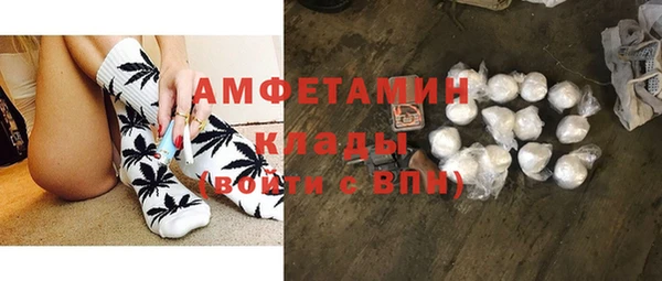гидра Коряжма