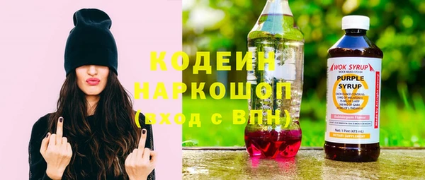 СК Корсаков